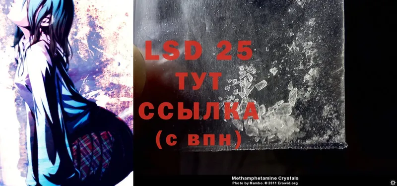 LSD-25 экстази ecstasy  OMG зеркало  Новосиль  купить  